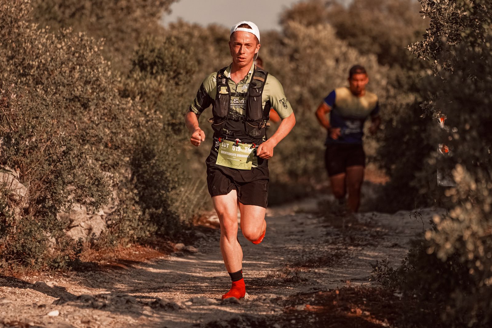 Traileurs en course sur un sentier, coaching trail et course à pied