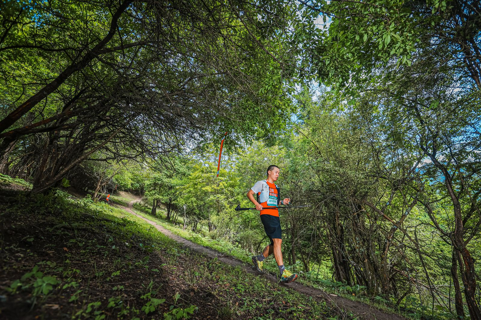Coureur sur un sentier forestier, débuter le trail